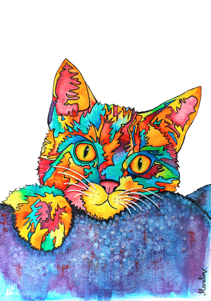 ty kaleidoscope cat